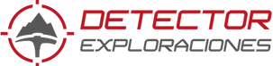 Detector Exploraciones SA de CV