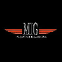 Multiservicios Industriales Guardado SA de CV